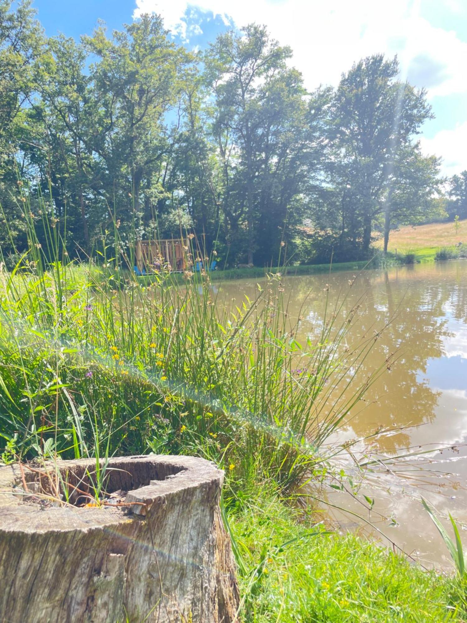 Gite Neuf Avec Jardin, Foret Et Etang Argenton Sur Creuse Dış mekan fotoğraf
